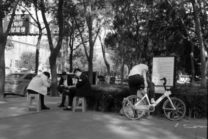 Casino Fiz Mobil App